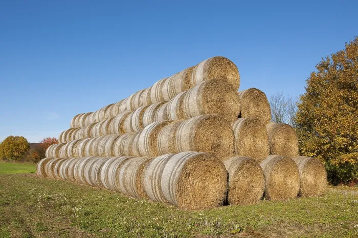 Framed Print : Stacked Straw Bales Print, Thuringia, Germany Framed Print : Stacked Straw Bales Print, Thuringia, Germany