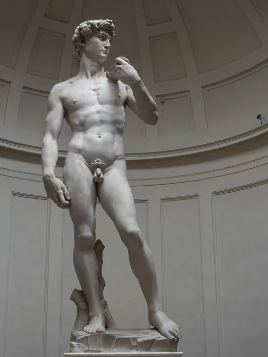 Framed Print : Print of Michelangelo's Statue of David, Florence, Italy Framed Print : Print of Michelangelo's Statue of David, Florence, Italy