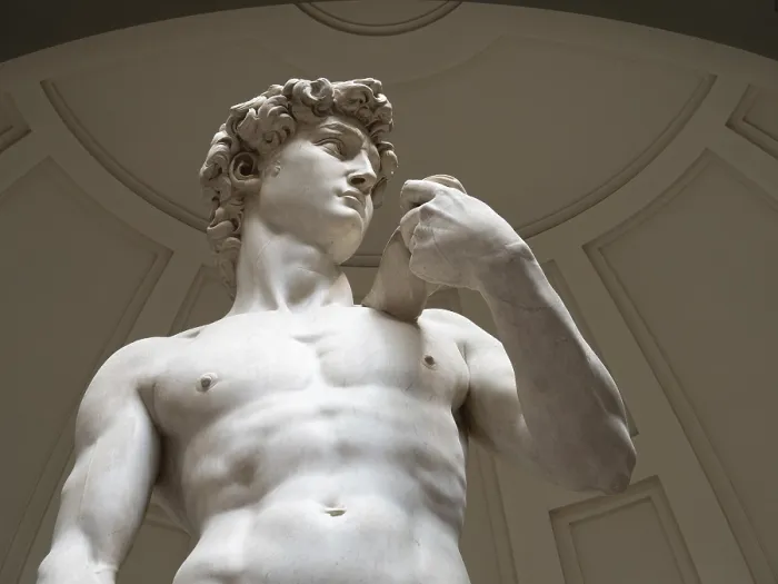 Framed Print : Print of Michelangelo's Statue of David, Galleria dell'Accademia Framed Print : Print of Michelangelo's Statue of David, Galleria dell'Accademia