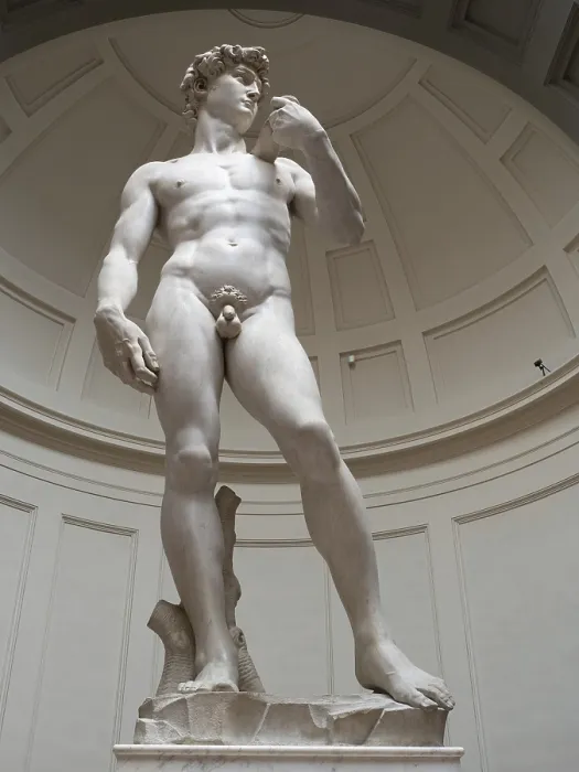 Framed Print : Michelangelo's Statue of David Print, Florence, Italy Framed Print : Michelangelo's Statue of David Print, Florence, Italy