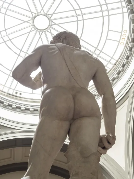 Framed Print : Michelangelo's Statue of David Print, Galleria dell'Accademia Framed Print : Michelangelo's Statue of David Print, Galleria dell'Accademia
