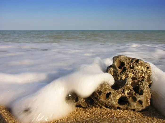 Framed Print : Stone on the Beach Print Framed Print : Stone on the Beach Print
