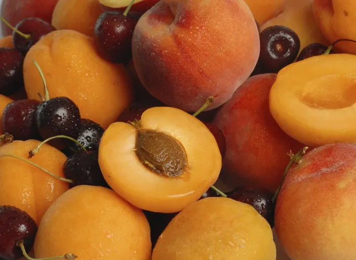 Framed Print : Stone Fruit Print - Juicy Harvest Framed Print : Stone Fruit Print - Juicy Harvest