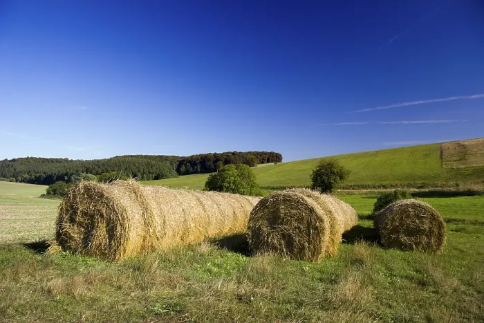 Framed Print : Straw Bales Print Framed Print : Straw Bales Print