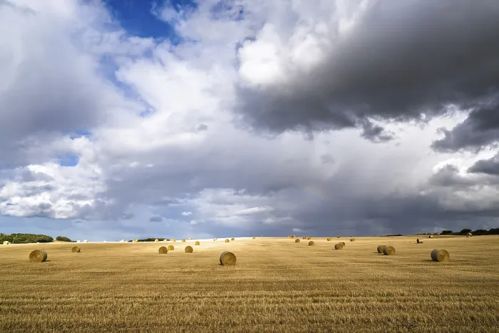 Framed Print : Southeast Scotland Print: Straw Bales in the Fields Framed Print : Southeast Scotland Print: Straw Bales in the Fields