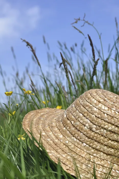Framed Print : Straw Hat Print in a Meadow Landscape
