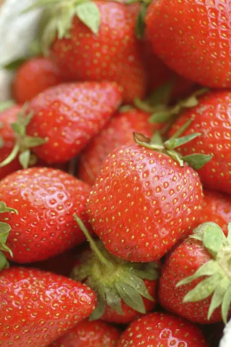 Framed Print : Strawberries Print by imageBROKER Framed Print : Strawberries Print by imageBROKER