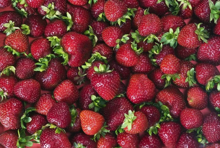 Framed Print : Strawberries Print by imageBROKER Framed Print : Strawberries Print by imageBROKER