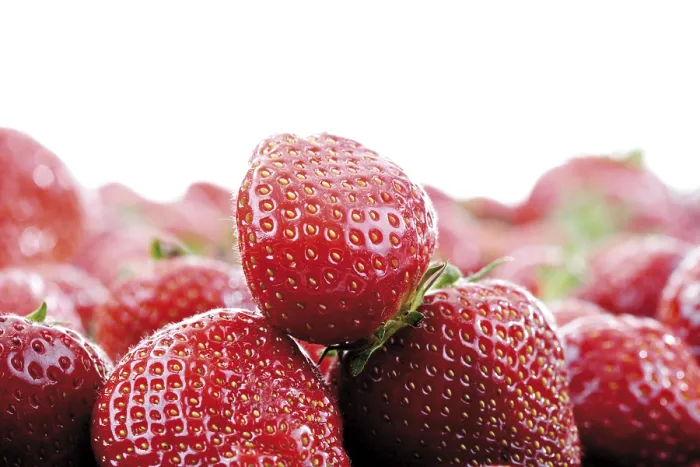 Framed Print : Strawberries Print by imageBROKER