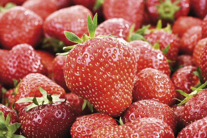 Framed Print : Strawberries Full-Frame Print Framed Print : Strawberries Full-Frame Print