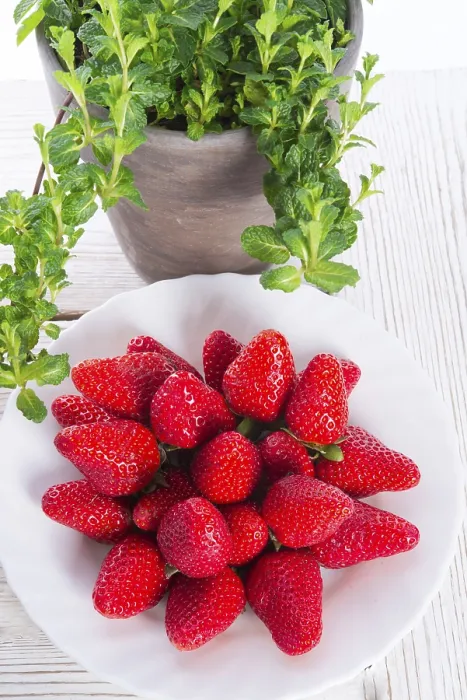Framed Print : Strawberries and Mints Print Framed Print : Strawberries and Mints Print