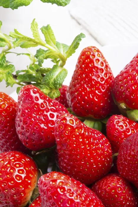 Framed Print : Strawberries and Mints Print