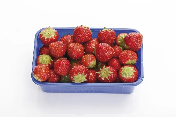 Framed Print : Strawberries in a Plastic Box Print