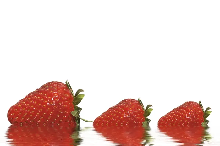 Framed Print : Three Strawberries with Reflections Print Framed Print : Three Strawberries with Reflections Print