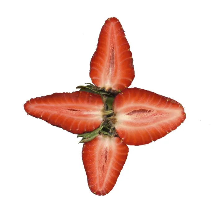 Framed Print : Strawberry Print by ImageBROKER Framed Print : Strawberry Print by ImageBROKER