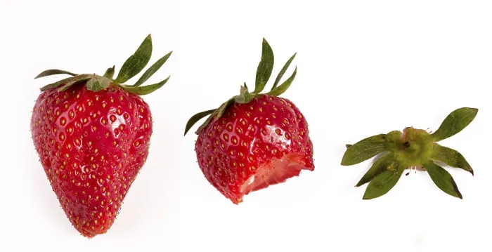 Framed Print : Strawberry Print by imageBROKER Framed Print : Strawberry Print by imageBROKER