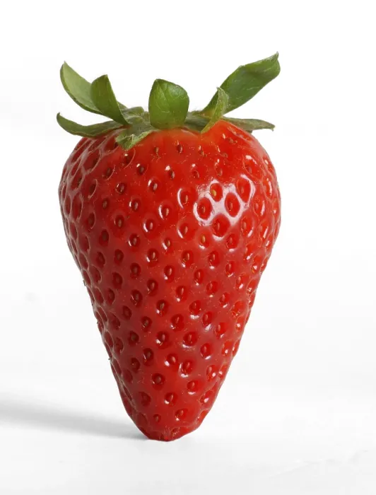 Framed Print : Strawberry Print by ImageBROKER Framed Print : Strawberry Print by ImageBROKER