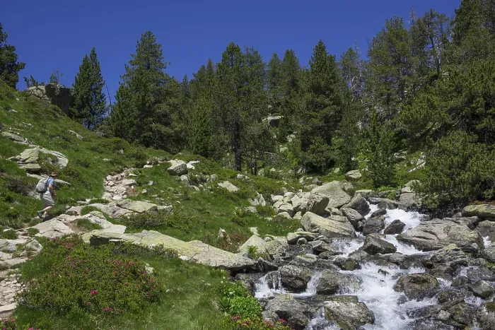 Framed Print : Stream by the Footpath to Refugi d'Amitges Print, Espot, Spain Framed Print : Stream by the Footpath to Refugi d'Amitges Print, Espot, Spain