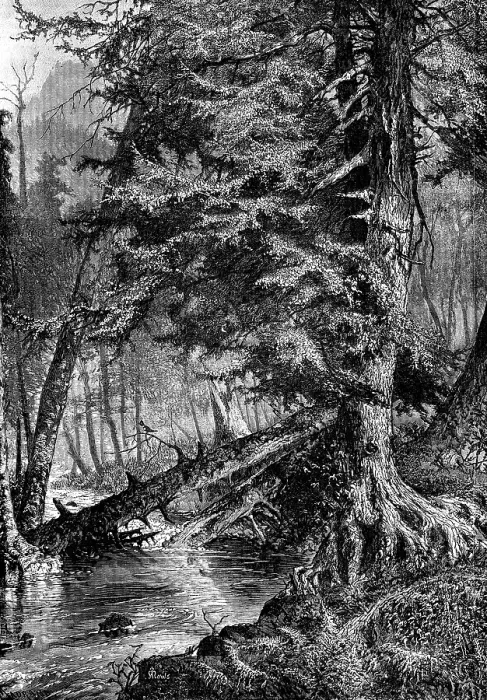 Framed Print : The Stream of Mockingbirds, Print (1880-81) Framed Print : The Stream of Mockingbirds, Print (1880-81)