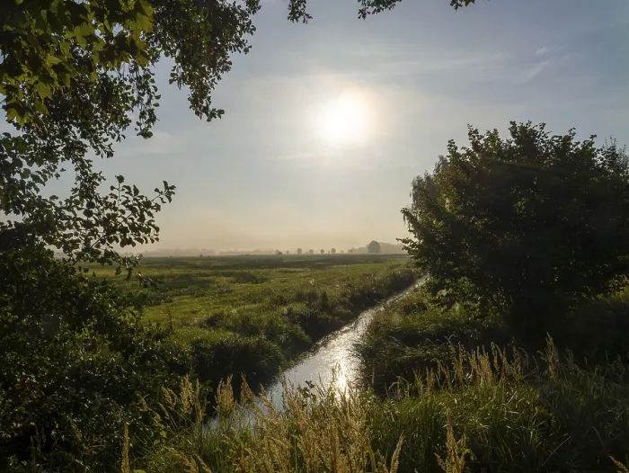 Framed Print : Stream Running through Meadows and Floodplain Print, Germany Framed Print : Stream Running through Meadows and Floodplain Print, Germany