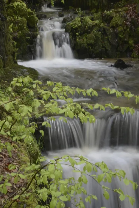 Framed Print : Spring Water Print: Forest Cascade Framed Print : Spring Water Print: Forest Cascade