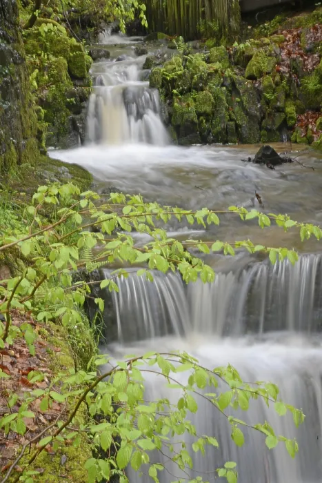 Framed Print : Spring Water Print: Fresh and Clean Nature Scene Framed Print : Spring Water Print: Fresh and Clean Nature Scene