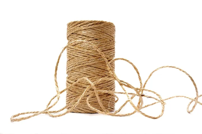Framed Print : String String Print by imageBROKER Framed Print : String String Print by imageBROKER