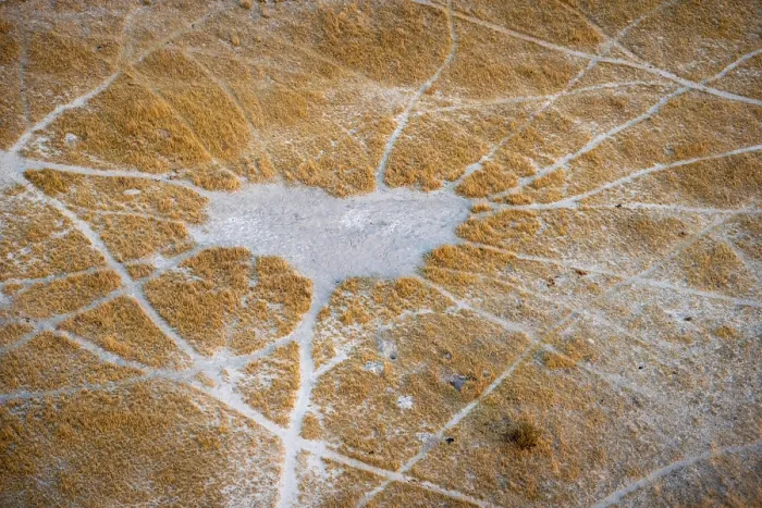 Framed Print : Okavango Delta Trails Aerial Print Framed Print : Okavango Delta Trails Aerial Print