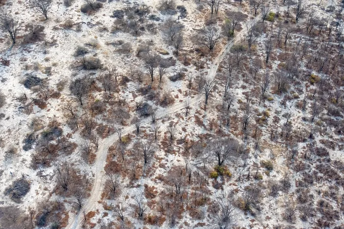 Framed Print : Aerial View of Okavango Delta Trees Print, Botswana Framed Print : Aerial View of Okavango Delta Trees Print, Botswana