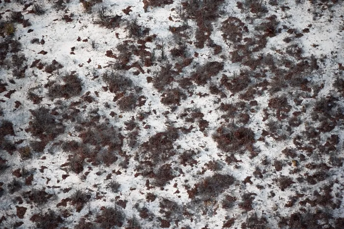 Framed Print : Aerial View of Trees in Arid Landscape, Okavango Delta Print Framed Print : Aerial View of Trees in Arid Landscape, Okavango Delta Print
