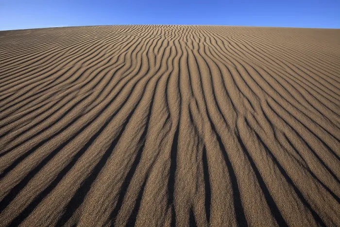 Framed Print : Structures in the sand, Maspalomas Nature Reserve Print Framed Print : Structures in the sand, Maspalomas Nature Reserve Print