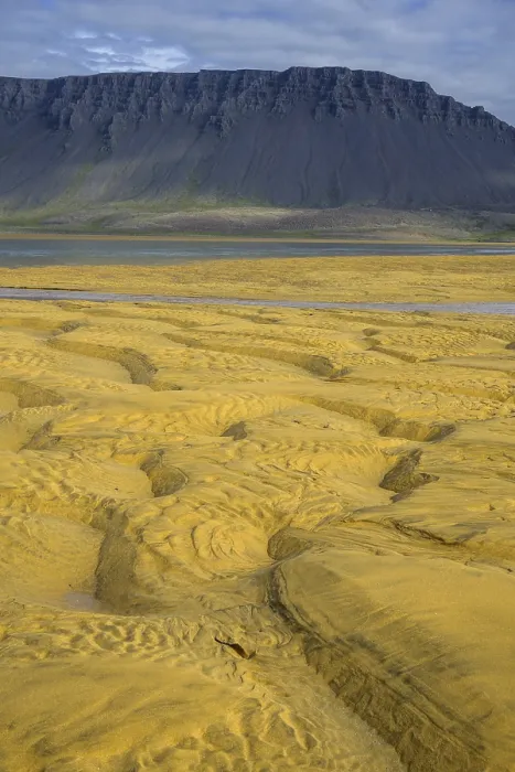 Framed Print : Structures in the Sand Print, Rauoasandur, Iceland Framed Print : Structures in the Sand Print, Rauoasandur, Iceland