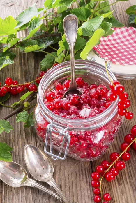 Framed Print : Sugared Red Currant Print Framed Print : Sugared Red Currant Print
