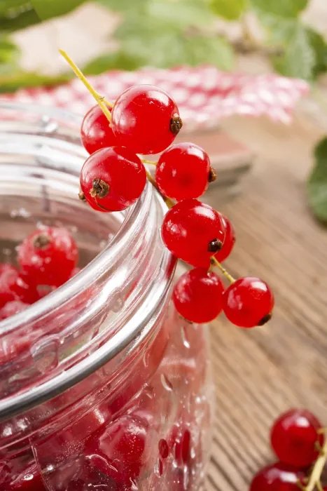 Framed Print : Red Currant Print