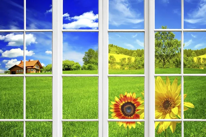 Framed Print : Summer Summer Print by imageBROKER Framed Print : Summer Summer Print by imageBROKER
