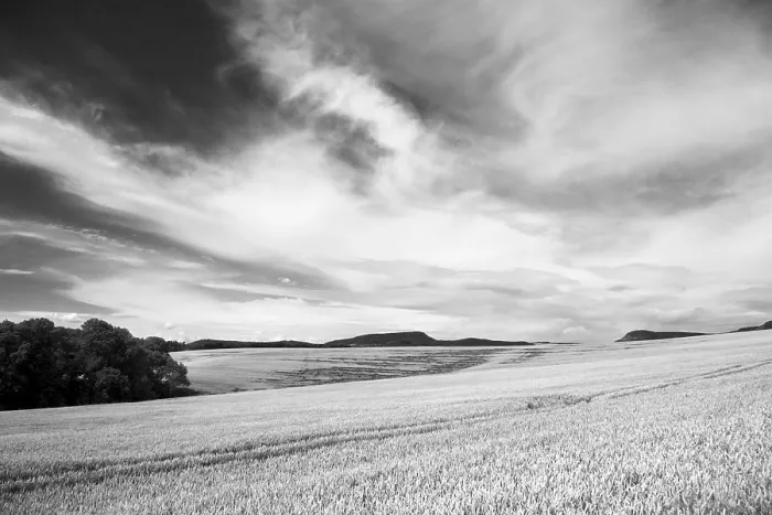 Framed Print : Summer Field Print Framed Print : Summer Field Print