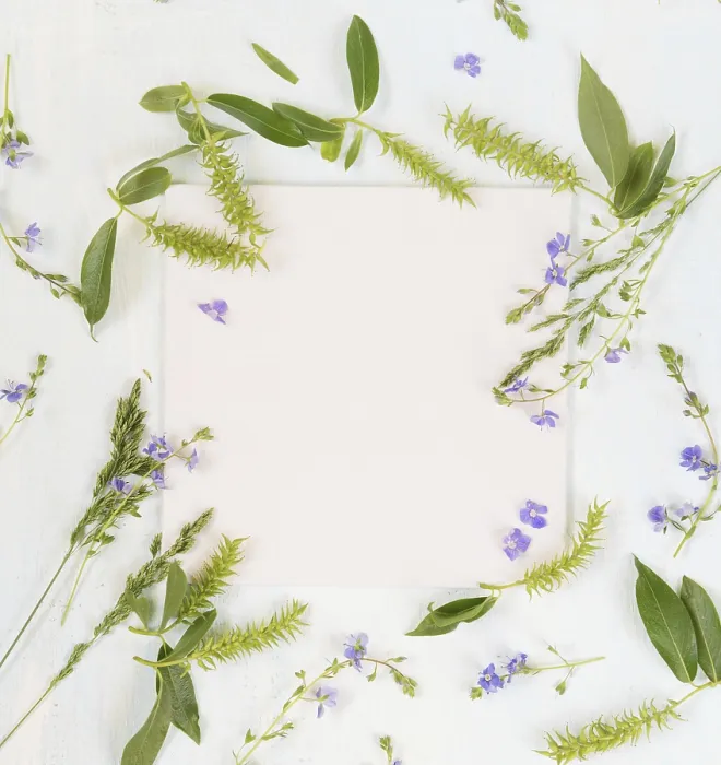 Framed Print : Summer Print with Fresh Branches and Herbs Framed Print : Summer Print with Fresh Branches and Herbs