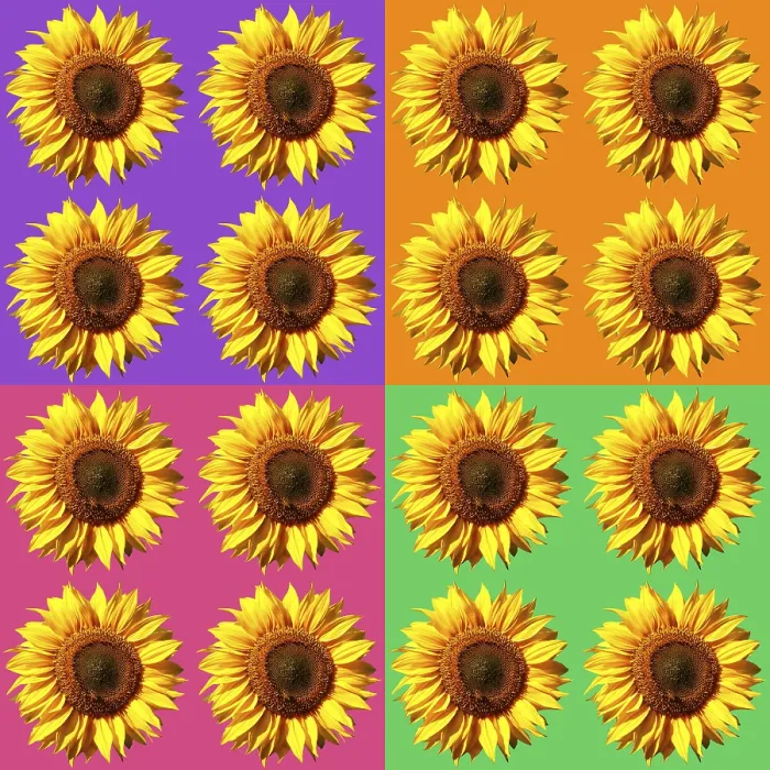 Framed Print : Colorful Sunflower Print Background Poster Framed Print : Colorful Sunflower Print Background Poster