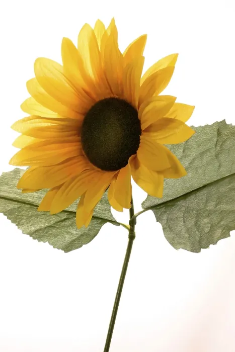 Framed Print : Sunflower of Plastics Print Framed Print : Sunflower of Plastics Print