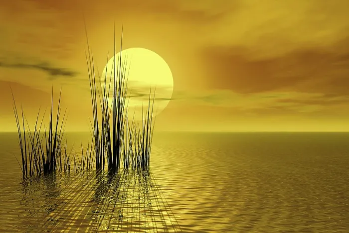 Framed Print : Sunset Landscape Print Framed Print : Sunset Landscape Print