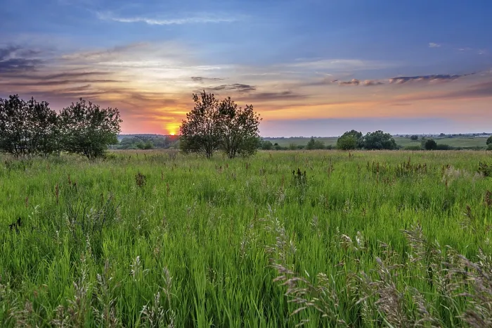 Framed Print : Sunset over Field of Grass Print Framed Print : Sunset over Field of Grass Print