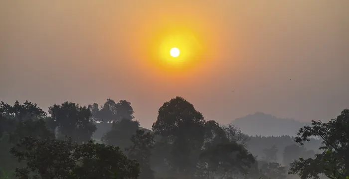 Framed Print : Uganda Sunset Forest Print