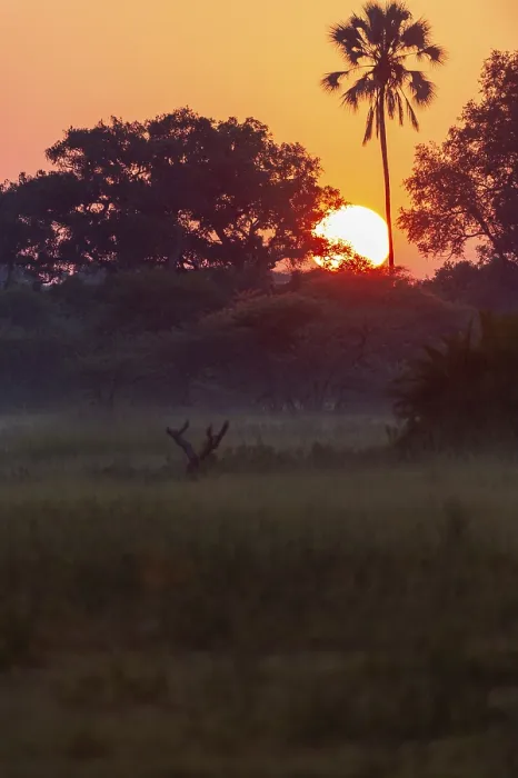 Framed Print : Okavango Delta Sunset Print, Botswana Framed Print : Okavango Delta Sunset Print, Botswana