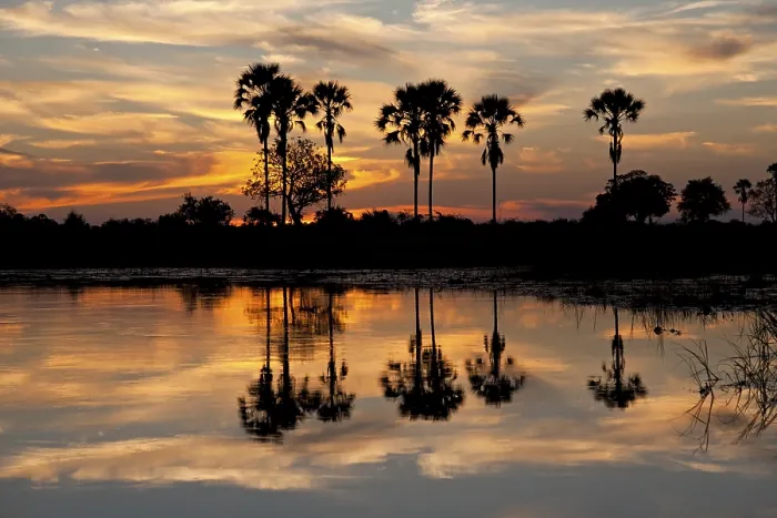 Framed Print : Okavango Delta Sunset Print Framed Print : Okavango Delta Sunset Print