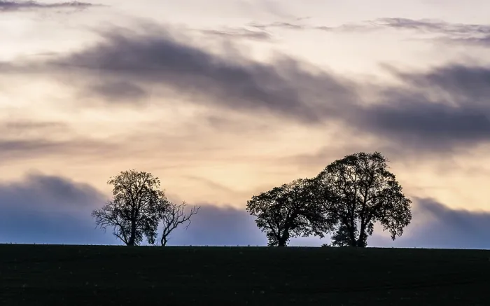 Framed Print : Sunset over Trees and Fields Print, England, UK Framed Print : Sunset over Trees and Fields Print, England, UK