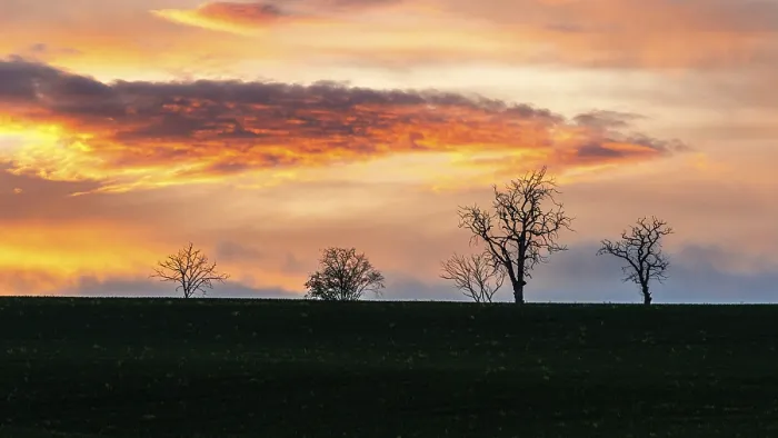 Framed Print : England Sunset over Trees and Fields Print Framed Print : England Sunset over Trees and Fields Print