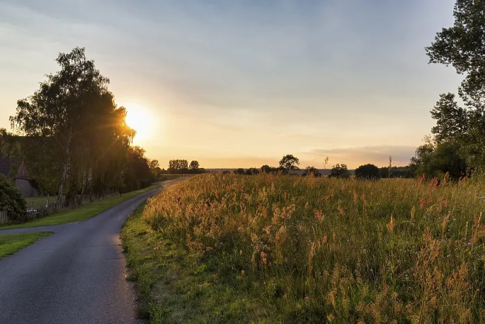 Framed Print : Sunset behind trees, Elbe cycle path Print
