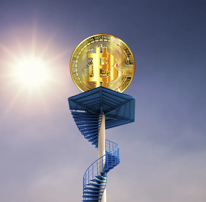 Framed Print : Bitcoin as a Questionable Vision of the Future Print Framed Print : Bitcoin as a Questionable Vision of the Future Print