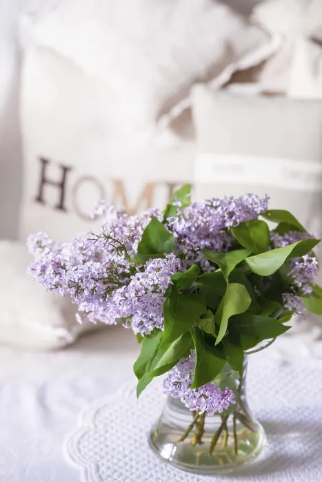 Framed Print : Lilac Tree Print - Syringa Syringa Framed Print : Lilac Tree Print - Syringa Syringa
