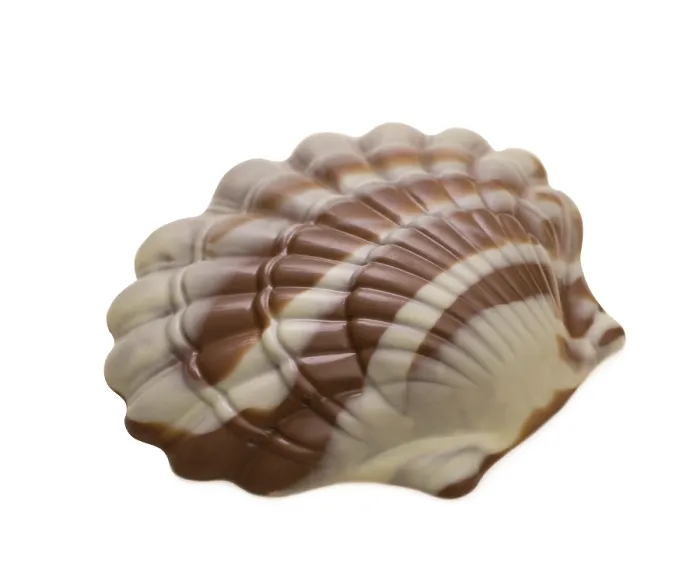 Framed Print : Tasty Mixed Chocolate Seashell Print Framed Print : Tasty Mixed Chocolate Seashell Print
